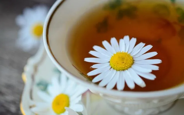 ¿La manzanilla sube la tensión?